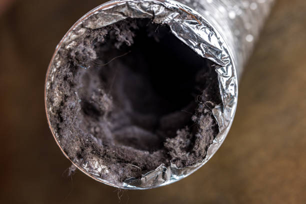 Best Home Air Vent Cleaning  in Oak Hills Pce, LA