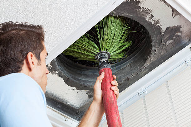Best Local Air Duct Cleaning Services  in Oak Hills Pce, LA